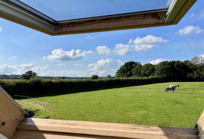 ベッドアンドブレックファースト Priors Oak   A Cosy Studio With Countryside Views In Dorset