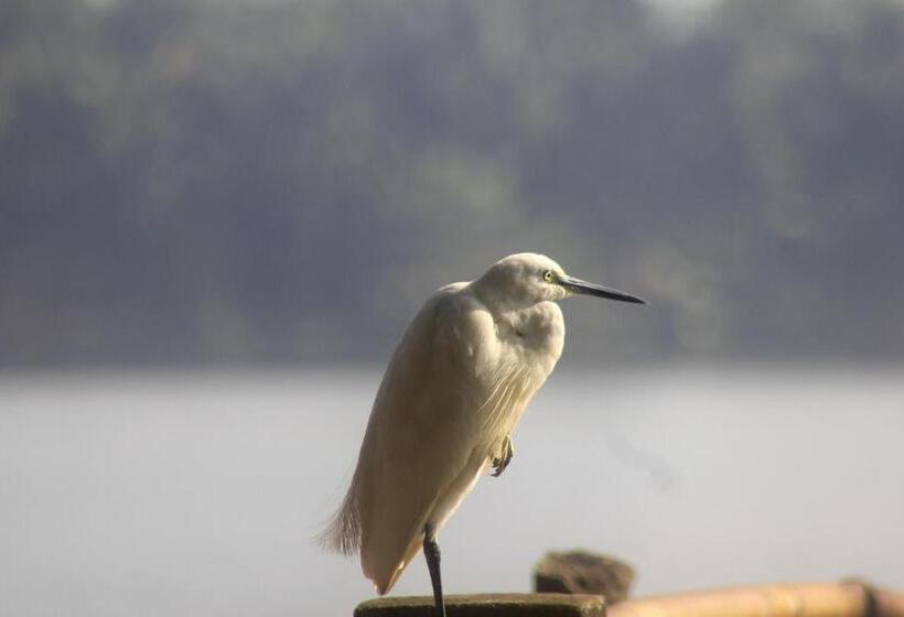 Курорт Vretreat