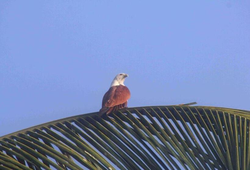 Курорт Vretreat