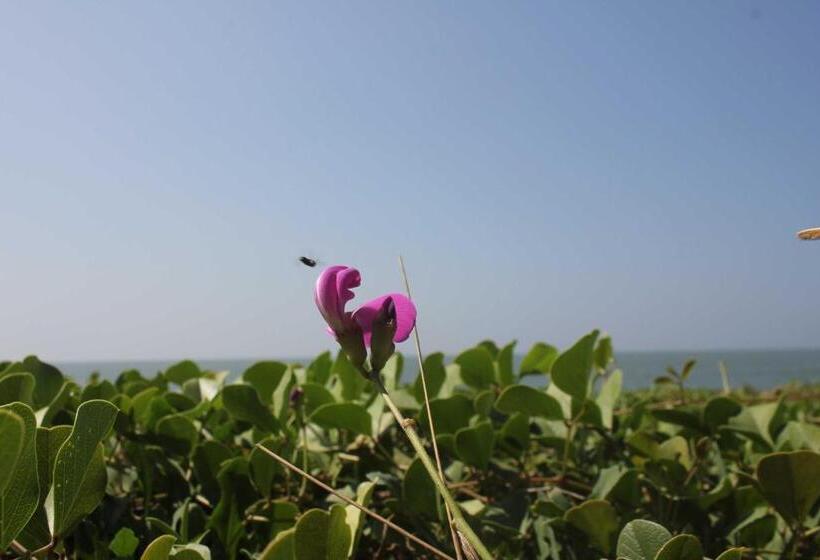 Курорт Vretreat