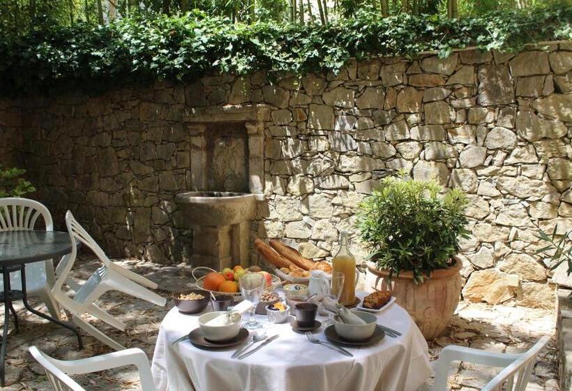 Общежитие Auberge De Pachoquin