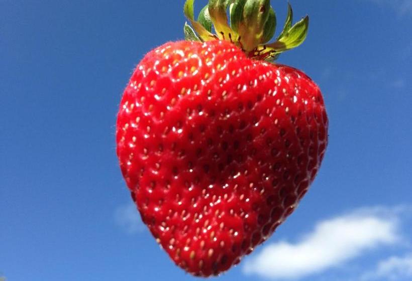 Herberge The Georgetown Inn