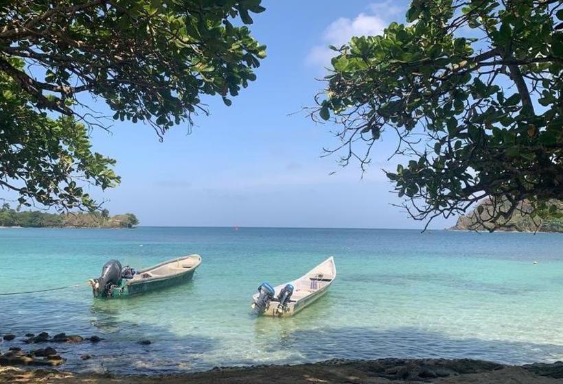 旅馆 Hostal Hilltop Sapzurro