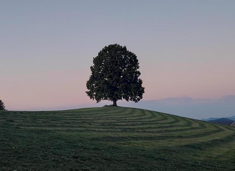 B&b Gästehaus Rössli Schwellbrunn