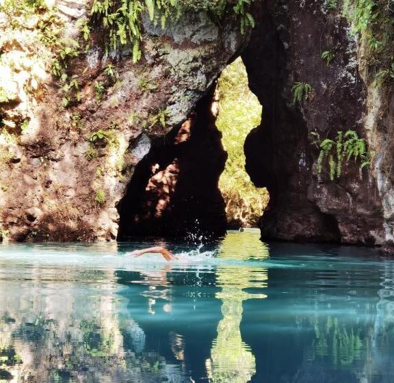 مبيت وإفطار Casa Rural Aroma De Campo