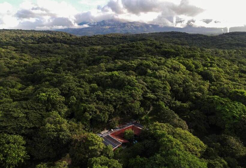 مبيت وإفطار Casa Rural Aroma De Campo