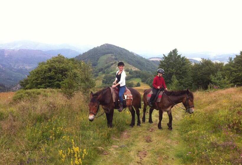 住宿加早餐  Ciel D Ardeche