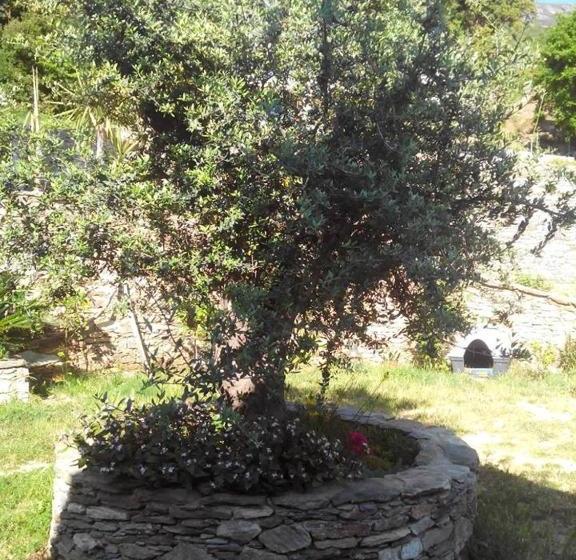 مبيت وإفطار Chambres D’hôtes A Casa Di Marigaby