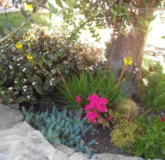 مبيت وإفطار Chambres D’hôtes A Casa Di Marigaby