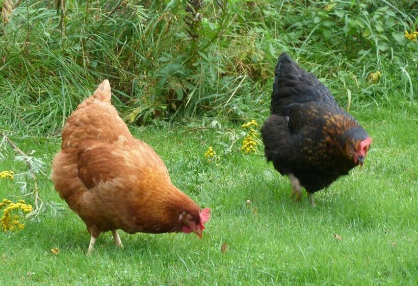 مبيت وإفطار Chambres D'hôtes La Fougeraie