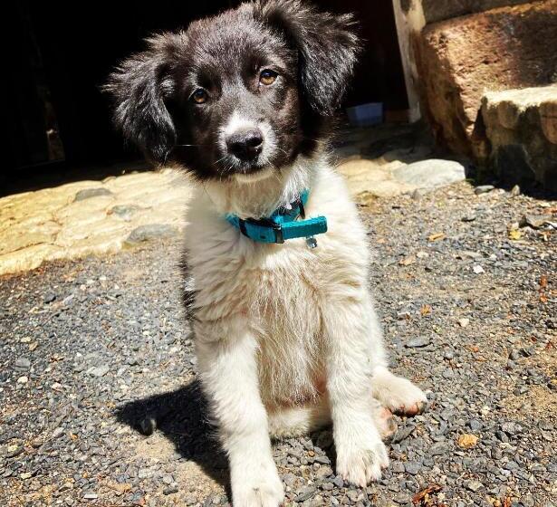 ベッドアンドブレックファースト Domaine De La Planche De Melussac