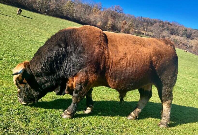 ベッドアンドブレックファースト Domaine De La Planche De Melussac