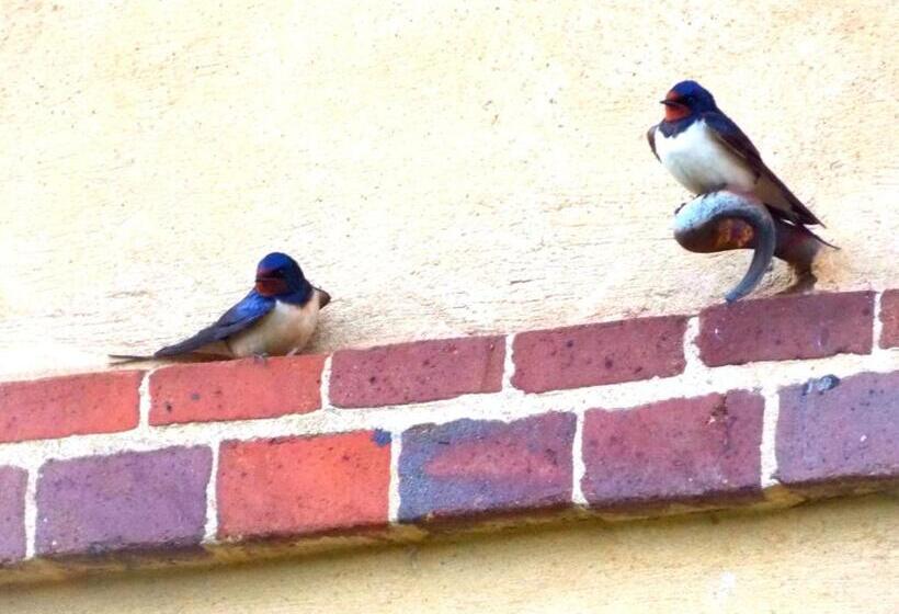 צימר Hameau De La Fausse Sauge