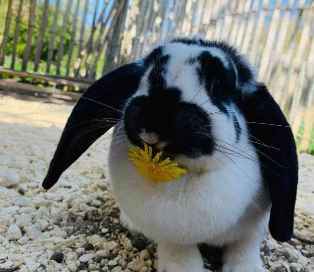 צימר Hameau De La Fausse Sauge