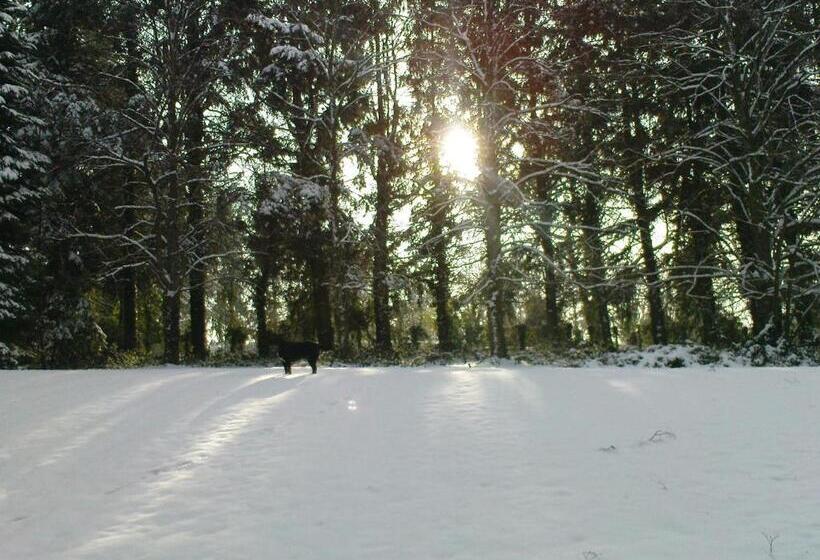 ベッドアンドブレックファースト La Croix Du Reh