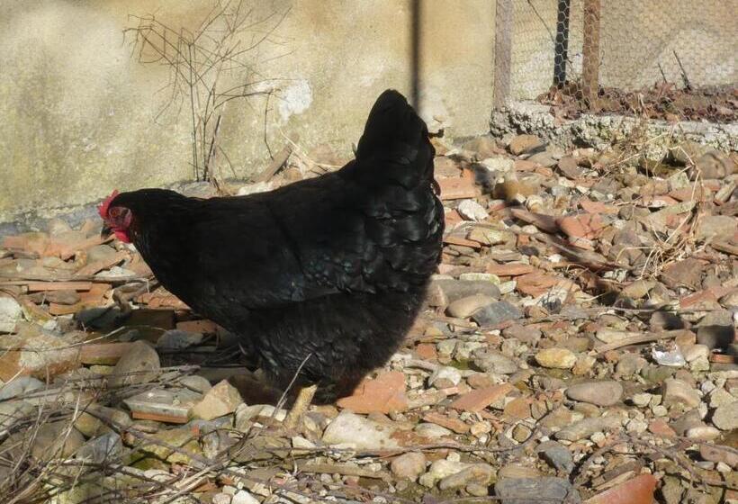 مبيت وإفطار Le Soubiran