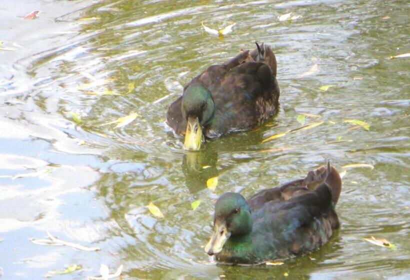 Bed and Breakfast Les Logis Du Breuil
