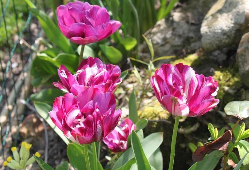 Bed and Breakfast Les Logis Du Breuil