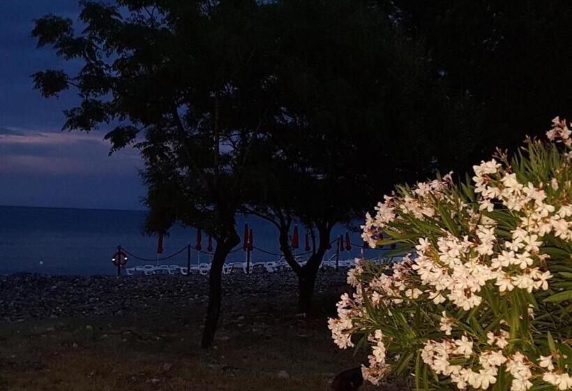 Bed And Breakfast Marilena