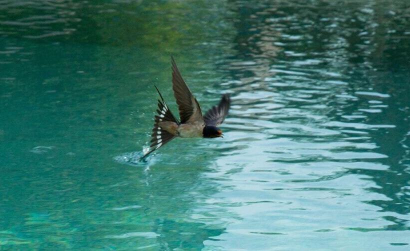 צימר Mas De Garrigue