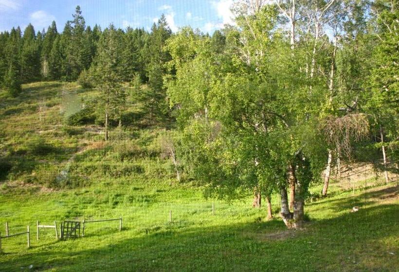 Dunphy's Bed And Breakfast