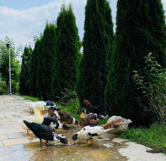 Family Hotel Borovitsa