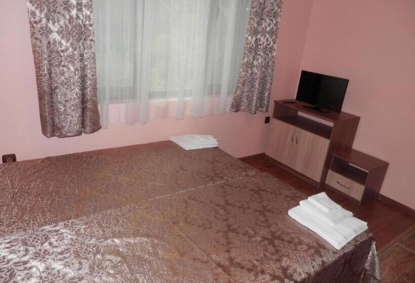 Family Hotel Borovitsa