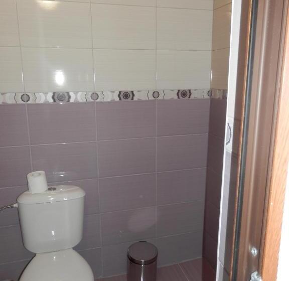 Family Hotel Borovitsa