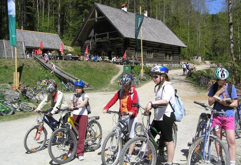Gasthaus Pension Sandner Linde