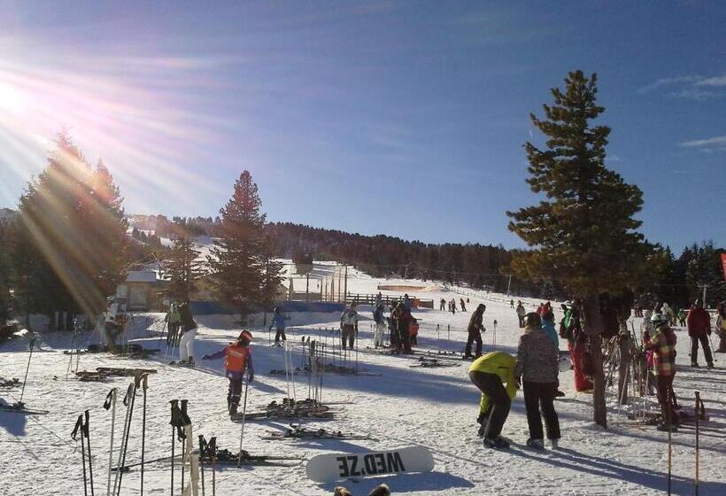 Gasthof Trattner Pension Waldhof