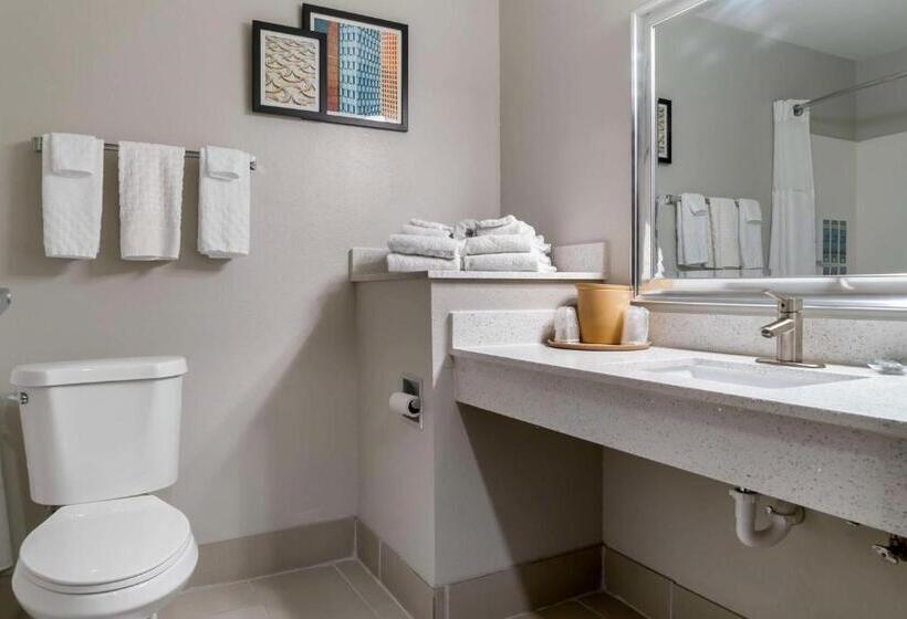 בית מלון כפרי Best Western Clare