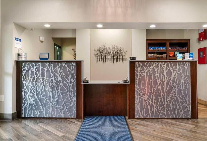 בית מלון כפרי Best Western Clare