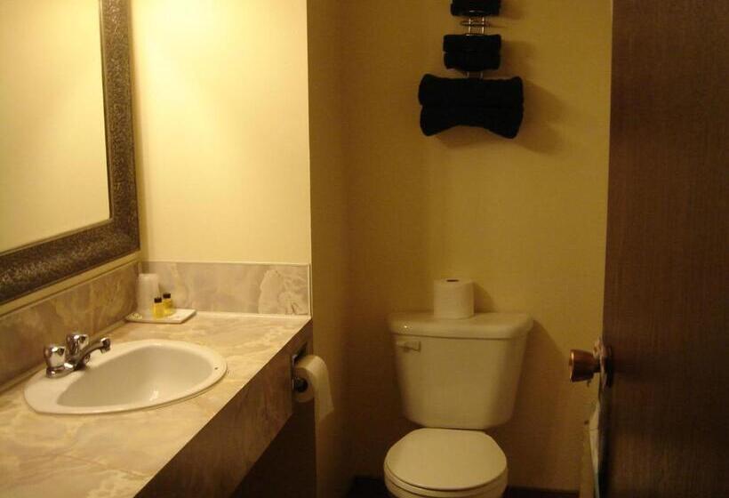 בית מלון כפרי Black Gold Inn