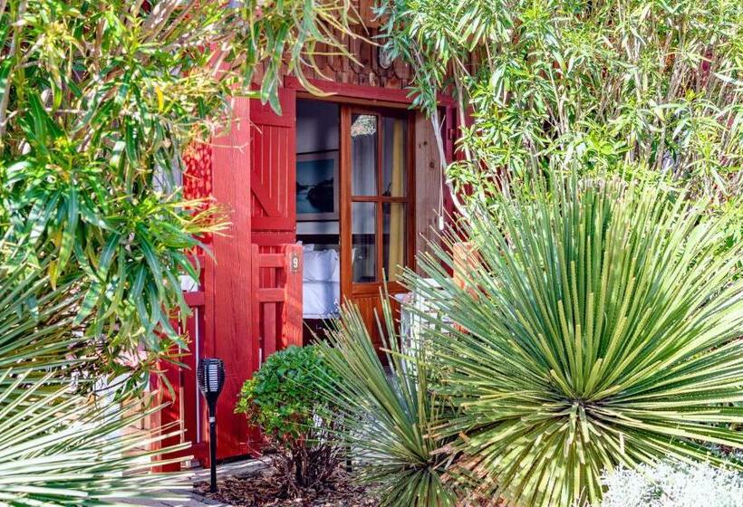 בית מלון כפרי De La Plage