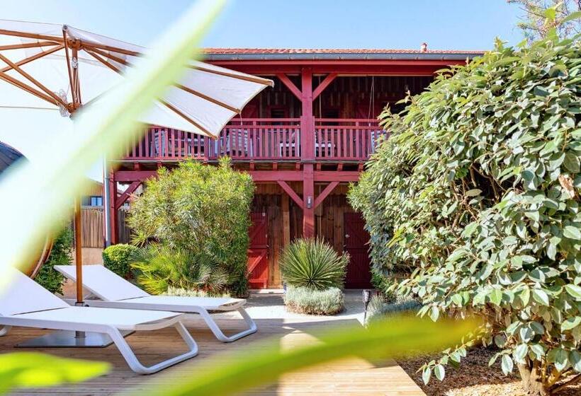 בית מלון כפרי De La Plage