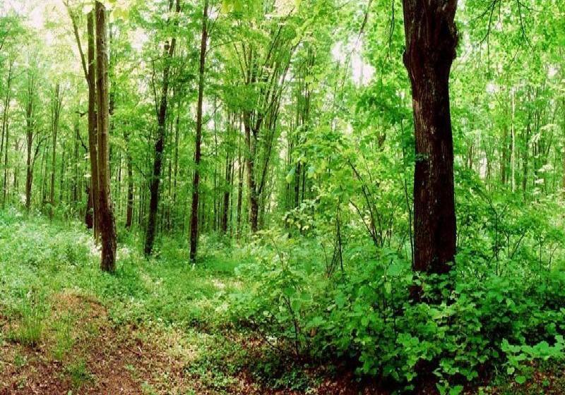 酒店 Eco Complex Sherba