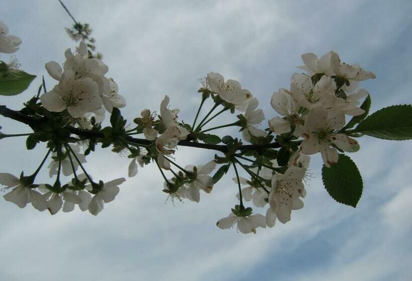 בית מלון כפרי Heidehof