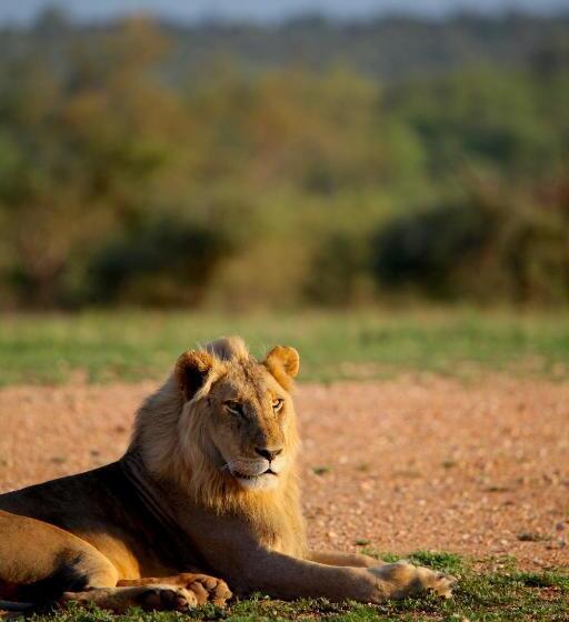 호텔 Ivory Wilderness River Rock Lodge