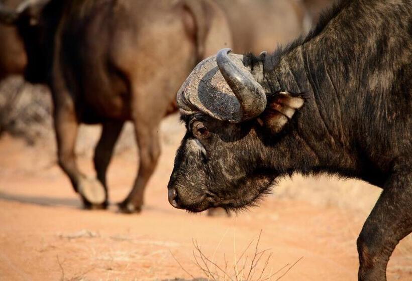 호텔 Ivory Wilderness River Rock Lodge