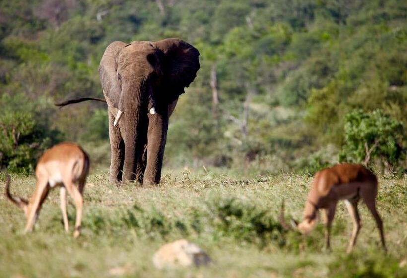 호텔 Ivory Wilderness River Rock Lodge