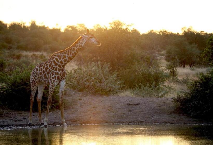 호텔 Ivory Wilderness River Rock Lodge