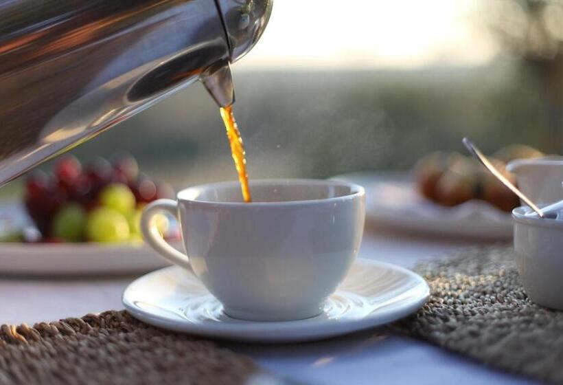 호텔 Ivory Wilderness River Rock Lodge