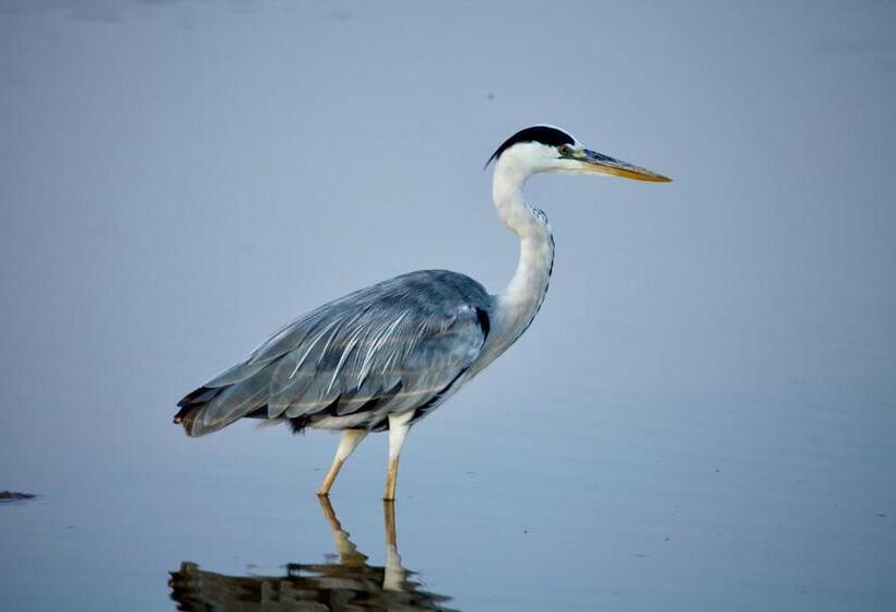 호텔 Ivory Wilderness River Rock Lodge