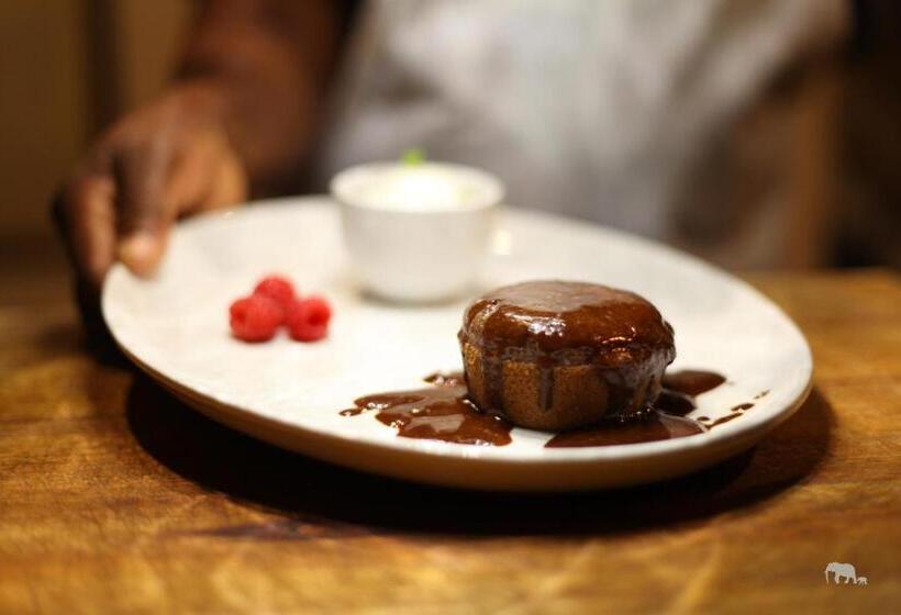 호텔 Ivory Wilderness River Rock Lodge