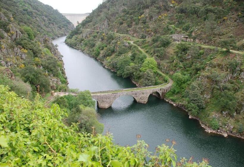 בית מלון כפרי Rural Solar Das Freiras