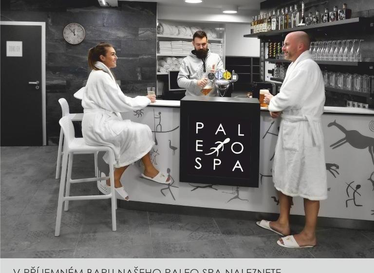 Wellness Hotel Svachovka