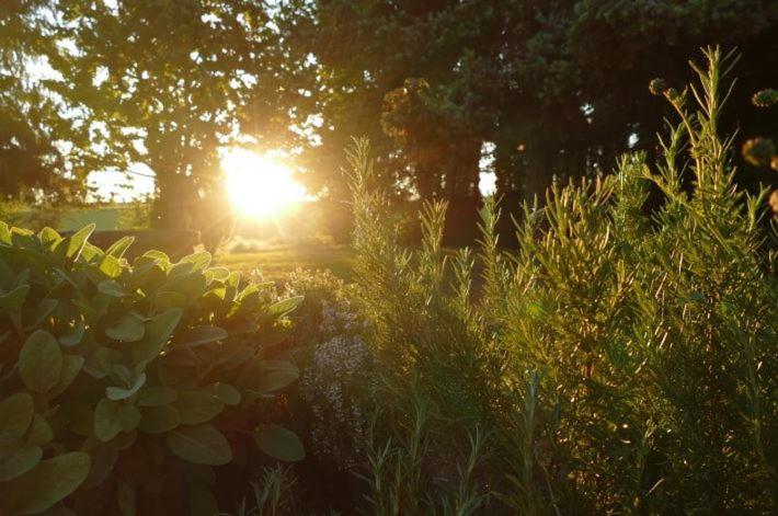 فندق Zenner S Land