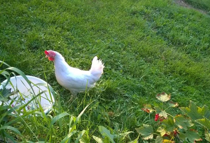 Majatalo Myötätuuli