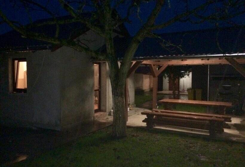 بنسيون Bereg Travel