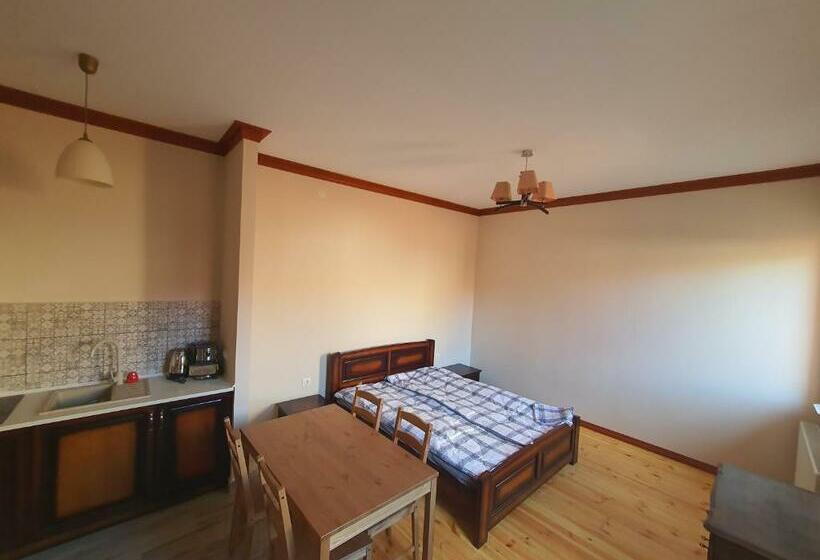 פנסיון Bereg Travel